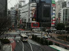 -涩谷区