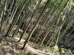 -会稽山峡洞漂流-上青古道