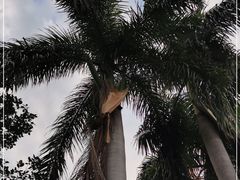 -广州市白云山风景名胜区