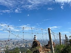 -长虫山生态公园风景林