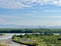 -福田红树林生态公园