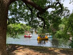 -上海共青森林公园