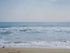 -海云台海滩