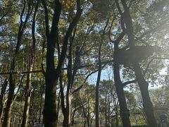 -WeLope紫金山探险公园