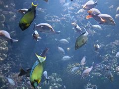 -海合安青岛极地海洋公园