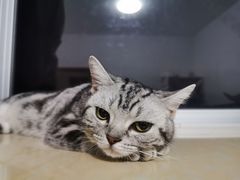 -鹅滋道(甘坑古镇店)