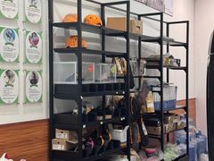 -龙景攀岩(海峡世茂广场店)