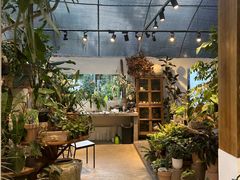-自由生长植物工作室(深港花卉中心店)