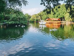 -深圳野生动物园