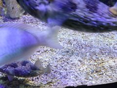 -郑州海洋馆