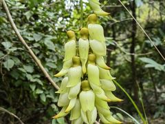 -漓江又一軒·广西菜·桂林米粉(梅林店)