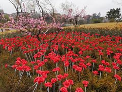 -罗记香霸头乌鱼庄(丹棱店)