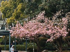 -徐家汇公园