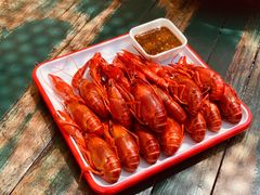 -不炭白烧烤(成都首店)