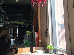 -Africafe(非洲咖啡)