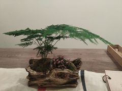 -小茶闲舍·观景商务茶馆(广州塔店)