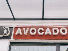 -油梨树AVOCADO TREE(顺义新国展店)