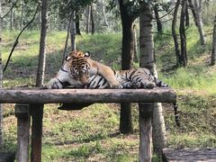 -北京野生动物园
