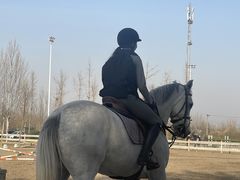 -北京群众马术培训基地