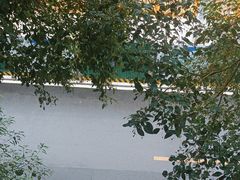 -马王堆海鲜水产市场