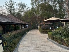 -天目湖涵田半山温泉