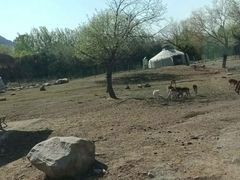 -西安秦岭野生动物园