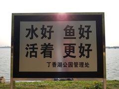 -丁香湖公园