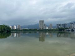 -飞来湖湿地公园