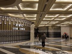 -影汇之星8字形摩天轮
