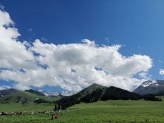 -新疆那拉提国家旅游度假区
