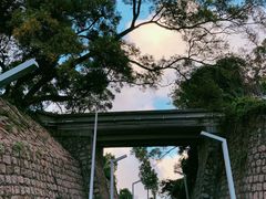 -彳亍咖啡·这里(水湾路店)