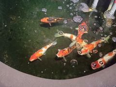 -愉肴麻辣香锅(中山路店)