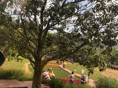 -广州市石门国家森林公园