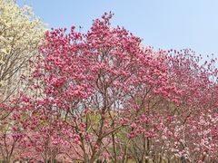 -白塘生态植物园