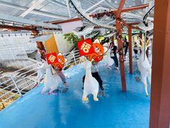 -盈香心动乐园
