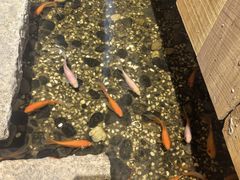 -邈墨茶馆(凤起路店)