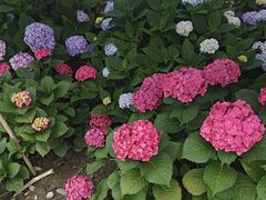 -中国天府农业博览园