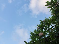 -三亚亚龙湾五号度假别墅酒店