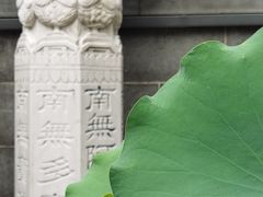 -灵谷景区