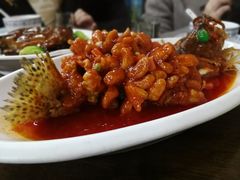 松鼠桂鱼-协和菜馆(凤凰街店)