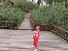 -燕郊植物园