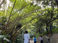-中山公园(石岐街道)