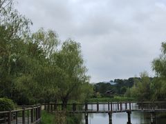 -黄陂区野村谷景区