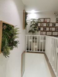 -薇薇安花系SPA