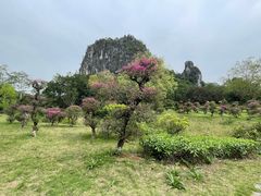 -南宁花花大世界景区