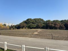 -世纪公园-世纪春沁园
