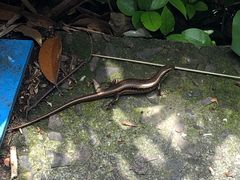 -宁波五龙潭景区