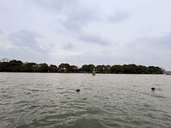 -西湖游船