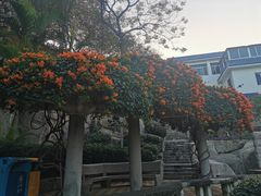-鼓浪屿·皓月园