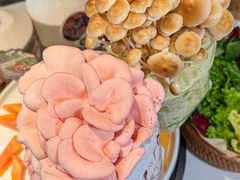 -烹然四季椰子鸡火锅(姚家园万象汇店)